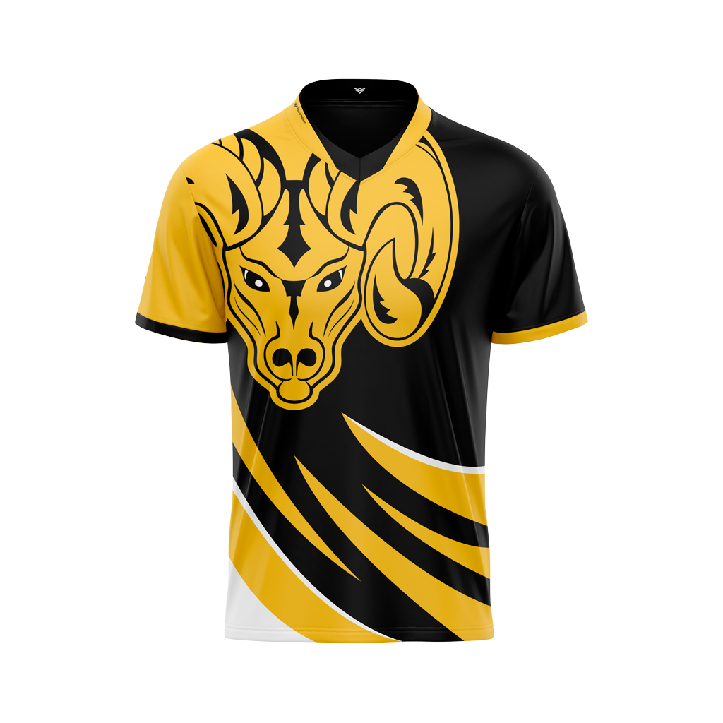 AITE Rams