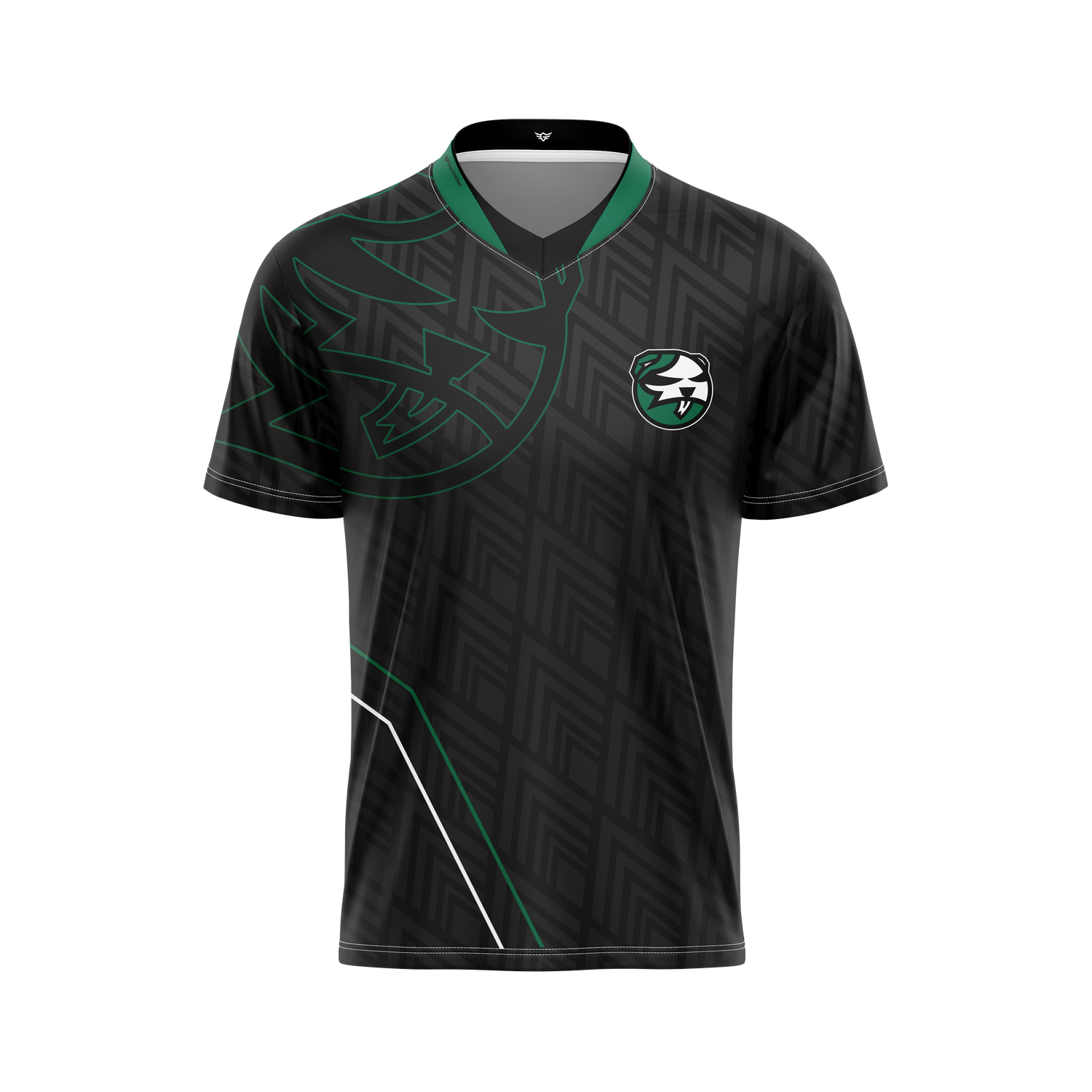 Babson Esports Club