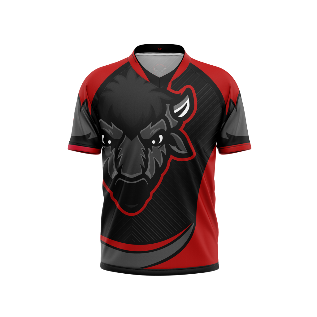 Bison Esports