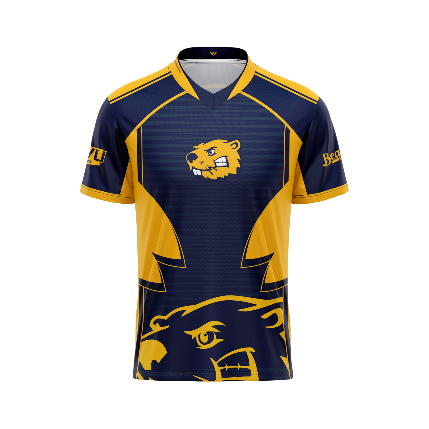 BVU Esports