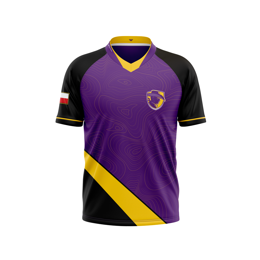 Hardin Simmons Esports