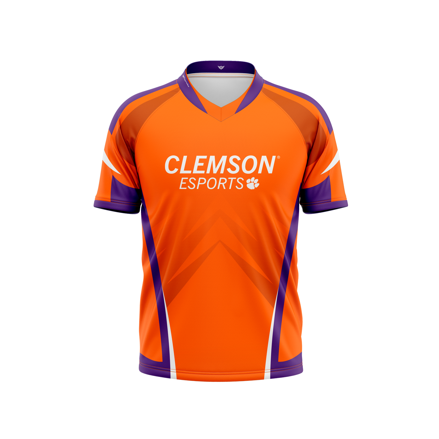 Clemson Esports